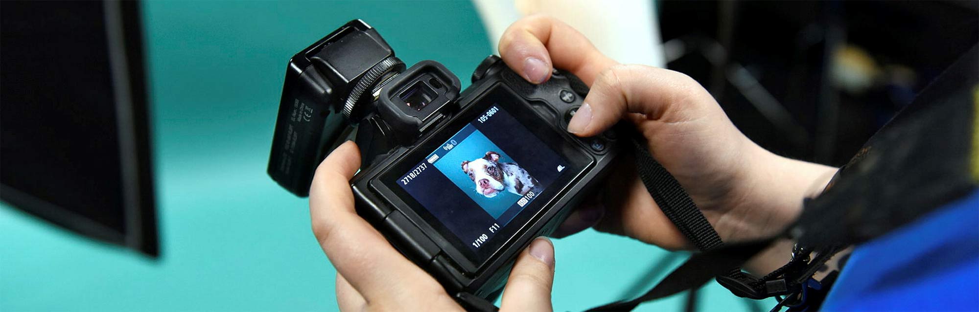 Fotokurs Hamburg: Erlebe Fotografie hautnah